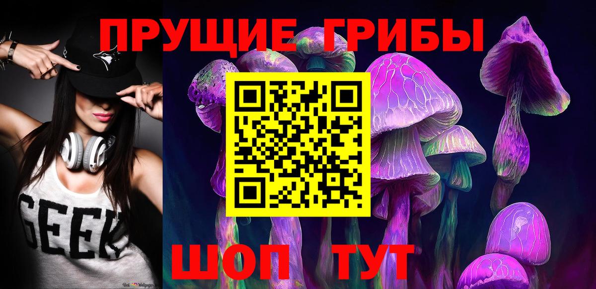 Заводоуковск  продажа наркотиков  Вход с VPN  Галлюциногенные грибы прущие грибы  Псилоцибиновые грибы Magic Shrooms 